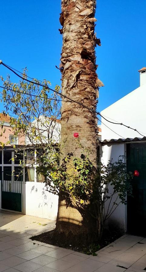 ホテル Casa Da Forja ピニャル・ノーヴォ エクステリア 写真